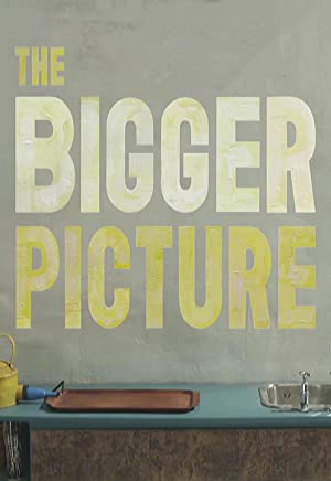 The Bigger Picture (short 2014)