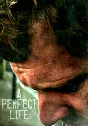 A Perfect Life 2011