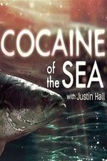 Cocaine Of The Sea